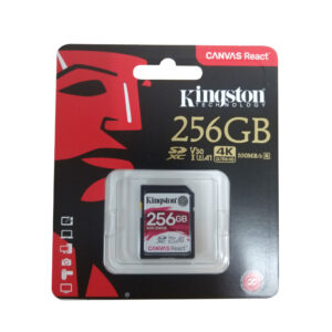 Standard Size Class 10 256GB SD Card