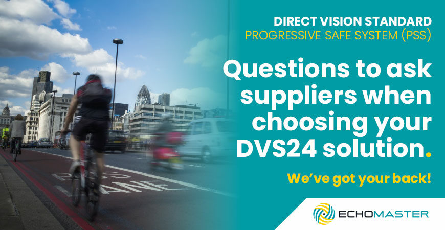 DVS 24 Questions to Ask